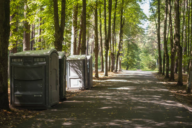 Best Standard Portable Toilet Rental in Fairbury, IL